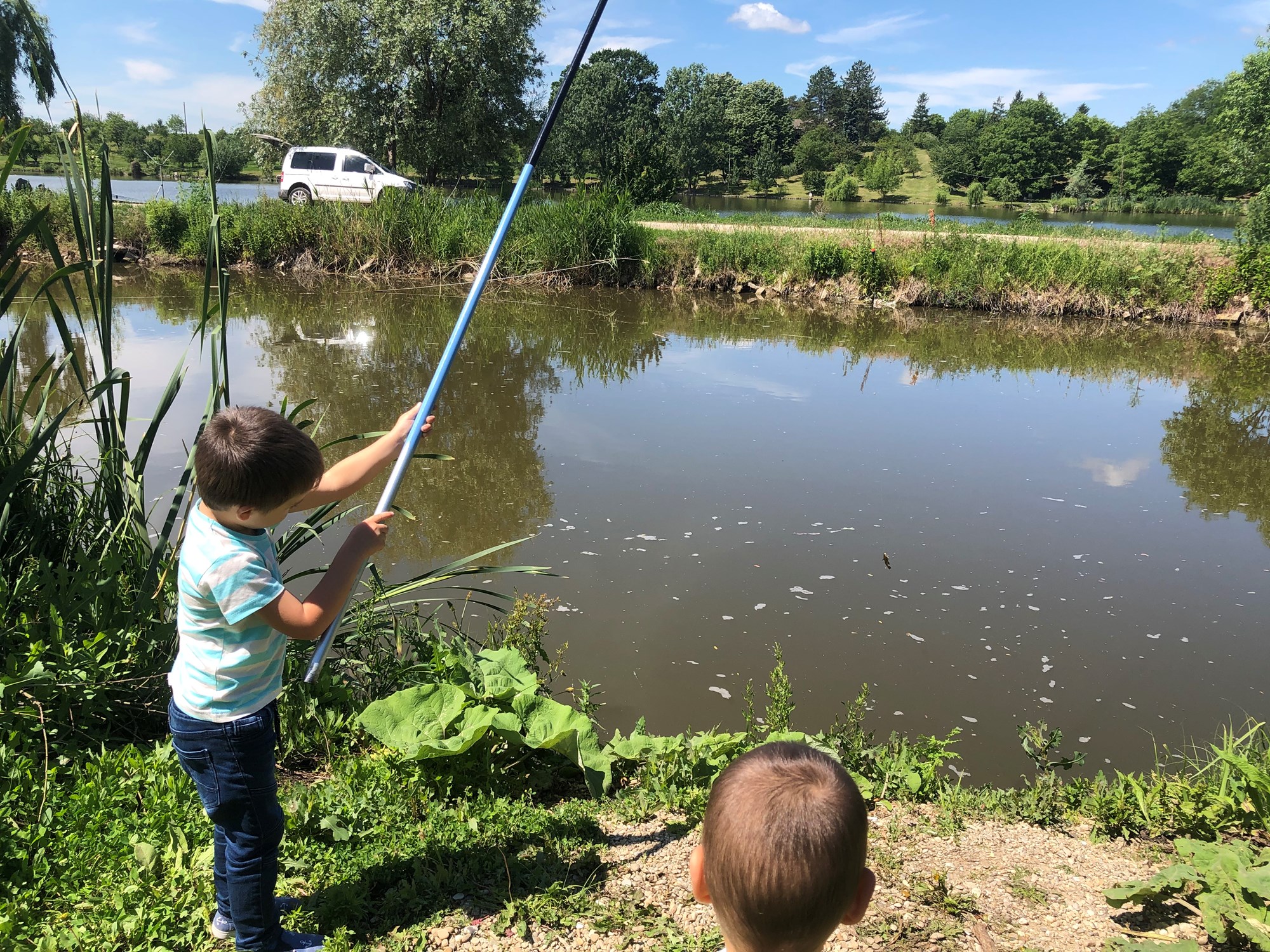 Hermes Peris 1 iun. - E00C4B2A77954C409D71C1A4BACA271D.jpg